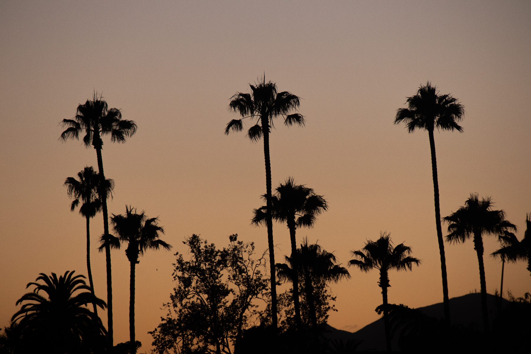Travel, photograph 4