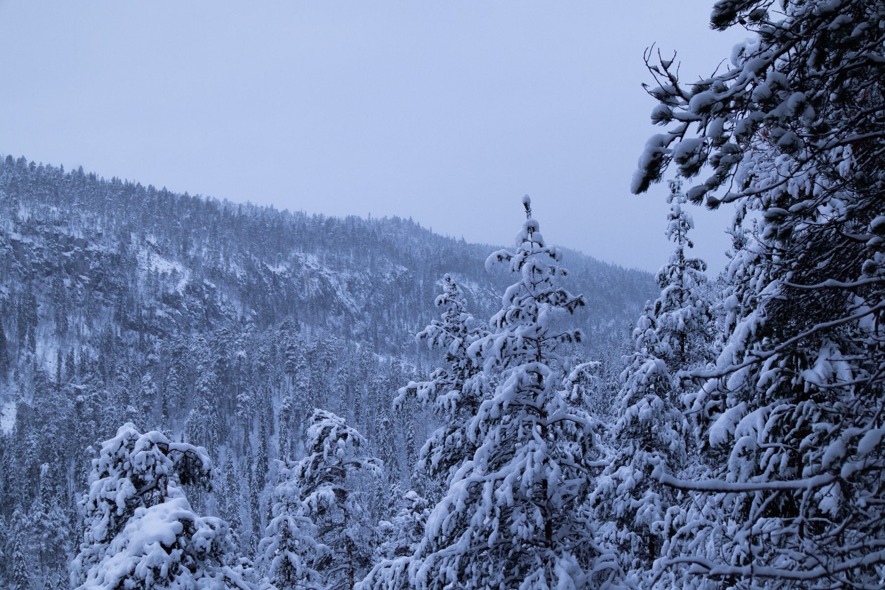 Travel, photograph 9